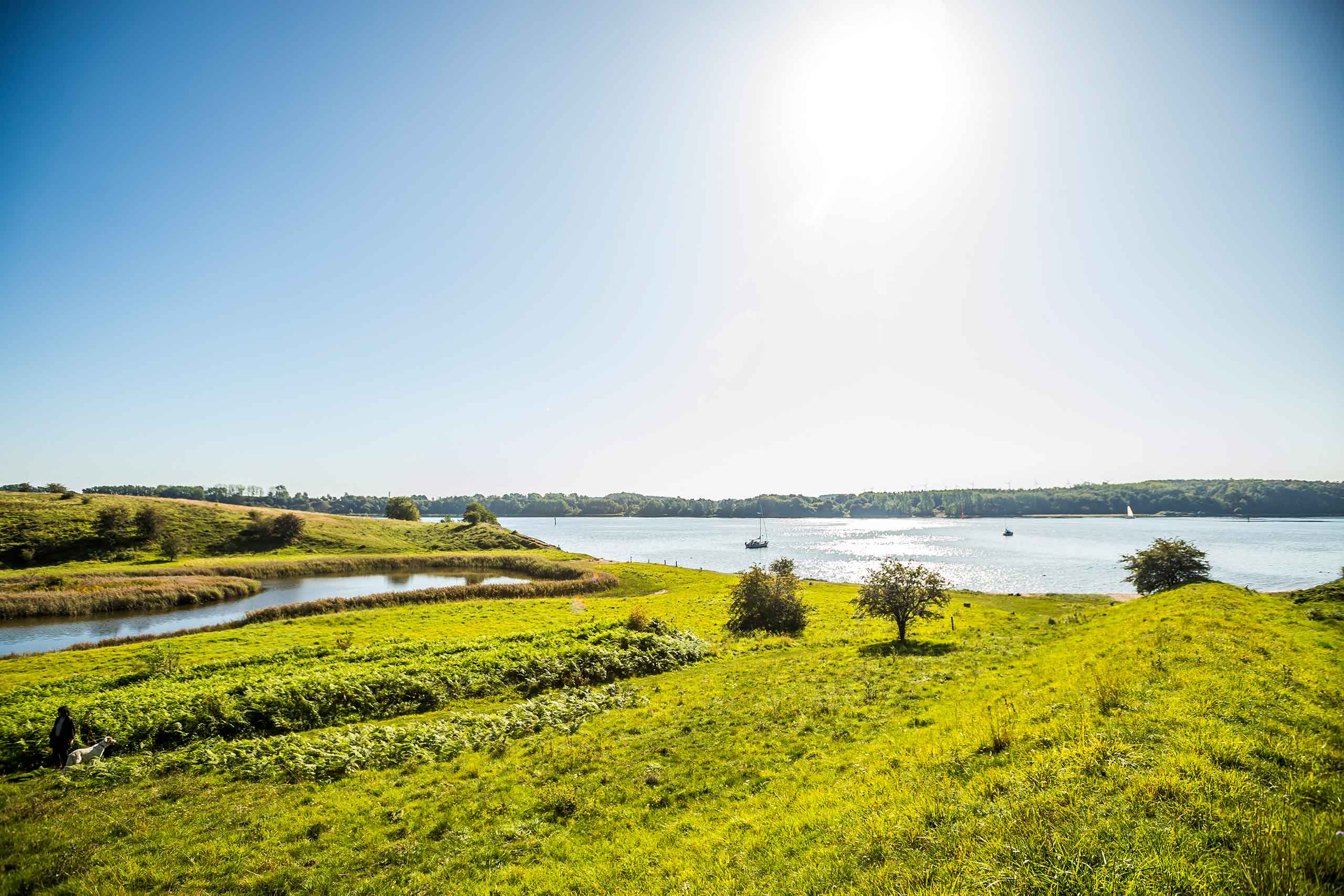 Dummersdorfer Ufer