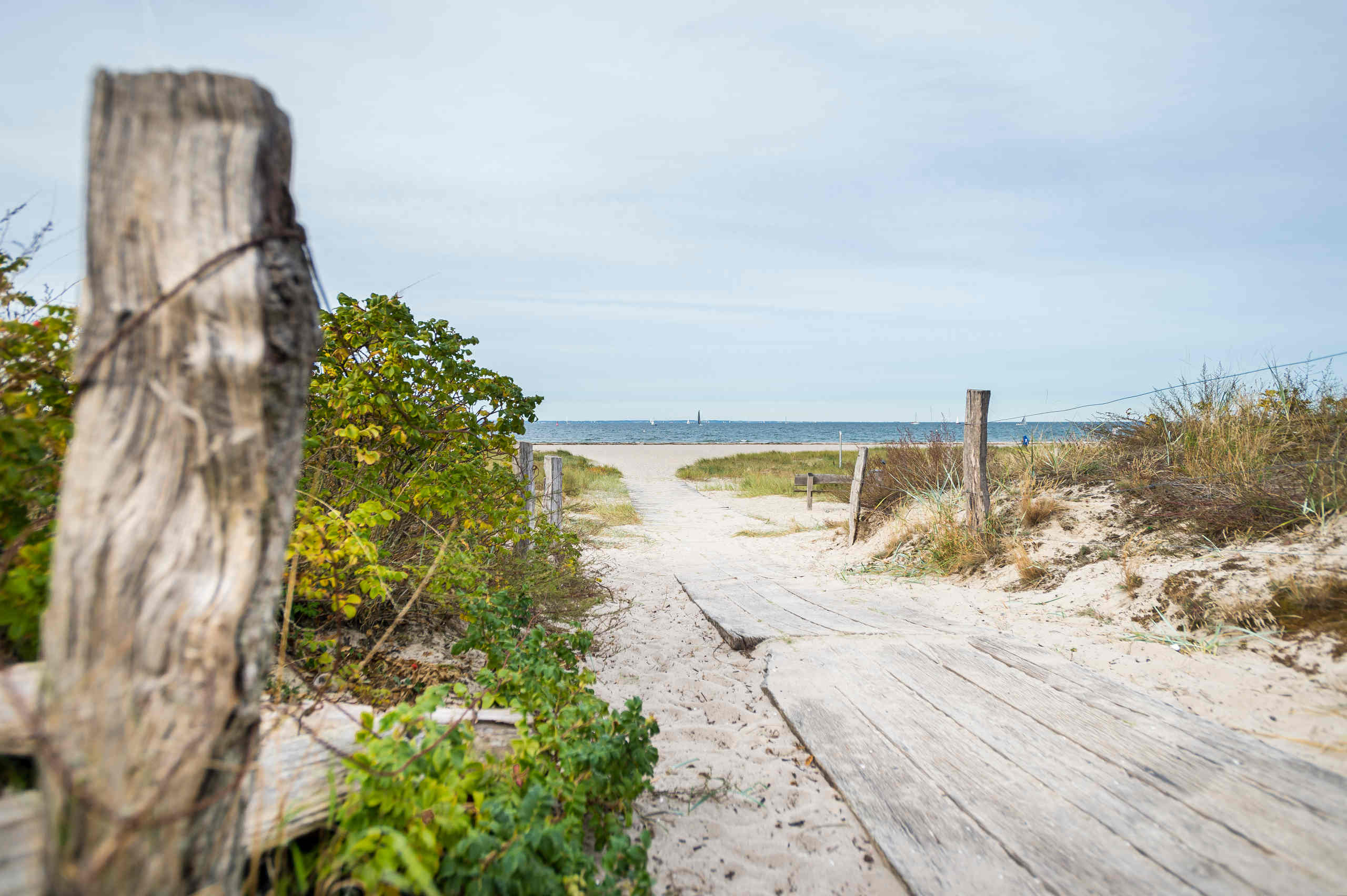 Priwallstrand