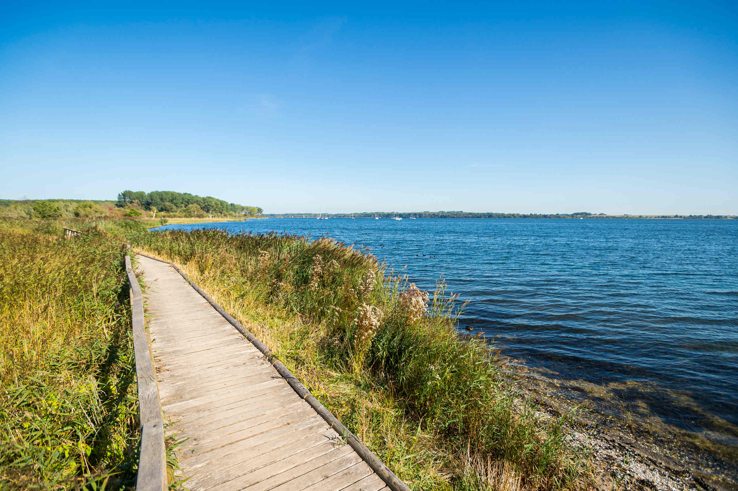 Pötenitzer Wiek am Priwall