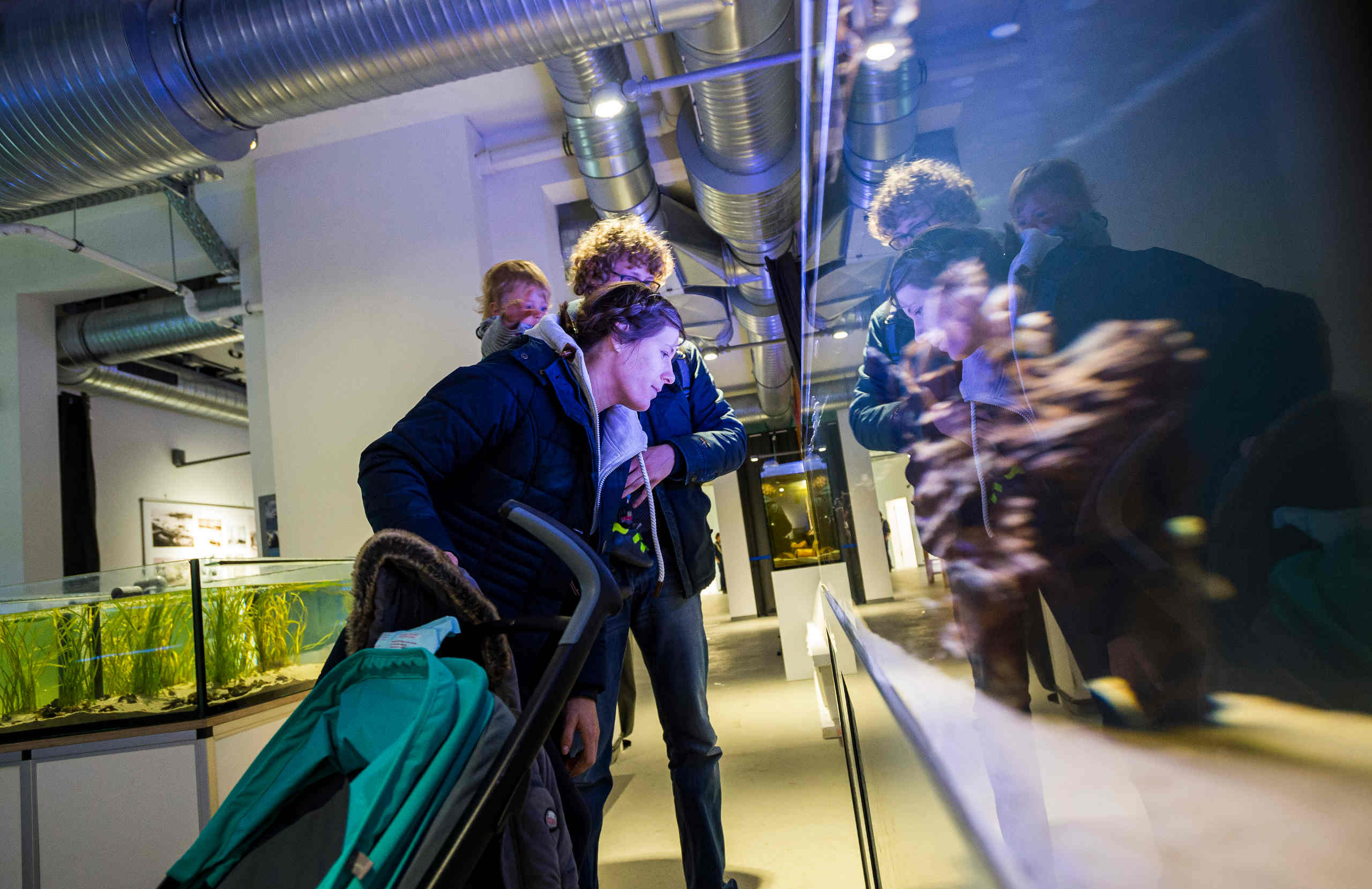 Aquarien der Ostseestation